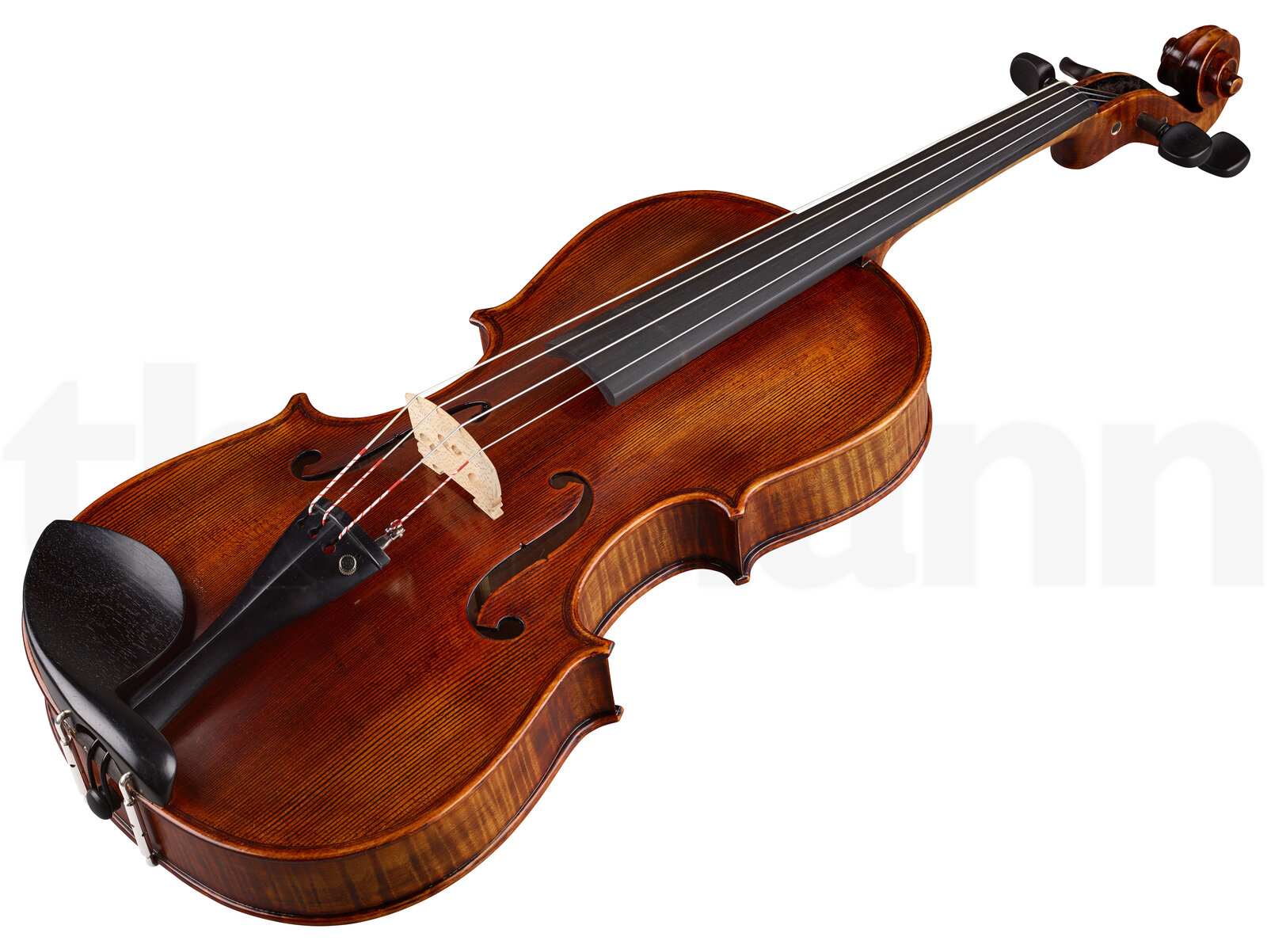 כלי קשת Stentor SR1877 Viola Arcadia 16,5" 3 10116957.jpg