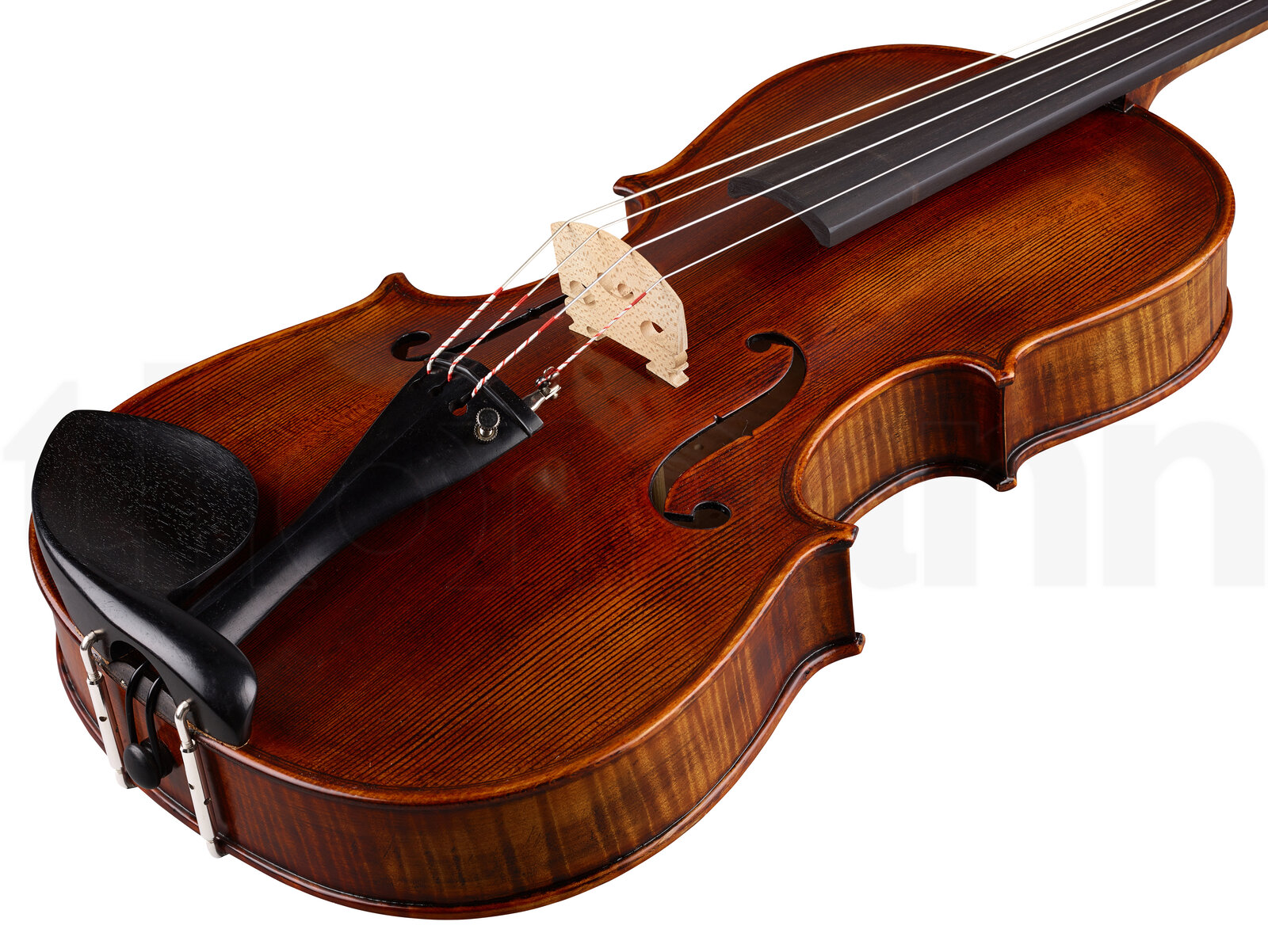 כלי קשת Stentor SR1877 Viola Arcadia 16,5" 4 10116962.jpg