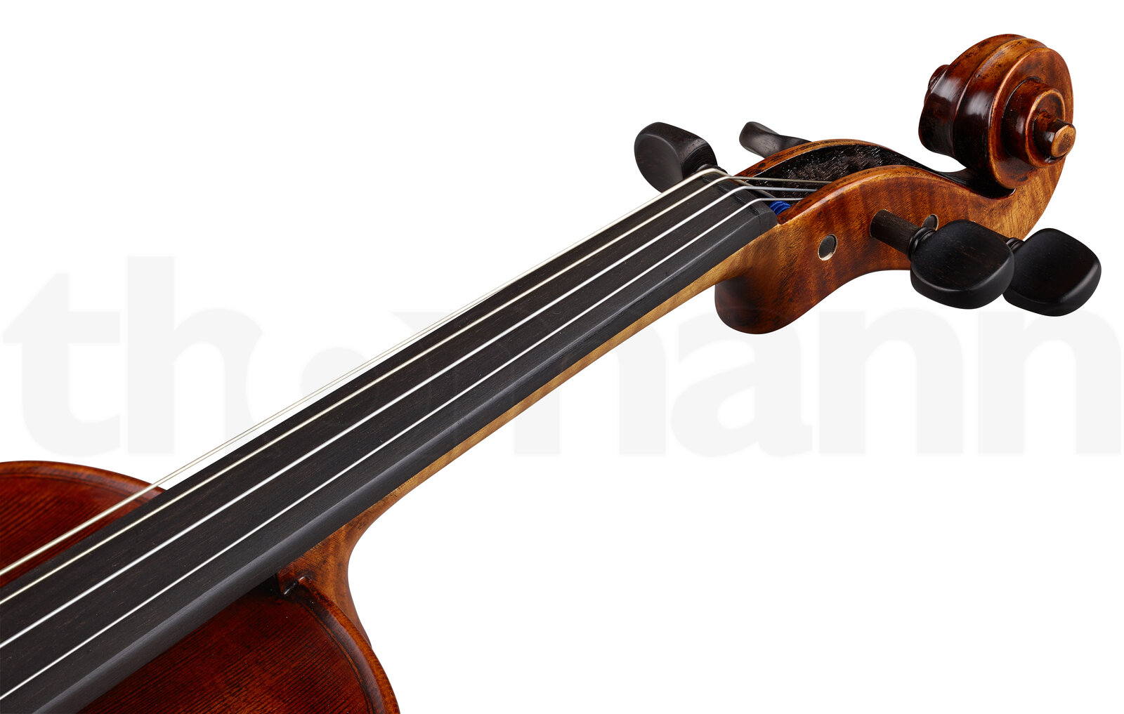 כלי קשת Stentor SR1877 Viola Arcadia 16,5" 5 10116967.jpg