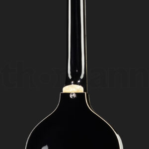גיטרה חשמלית Höfner Icon Violin Guitar BK