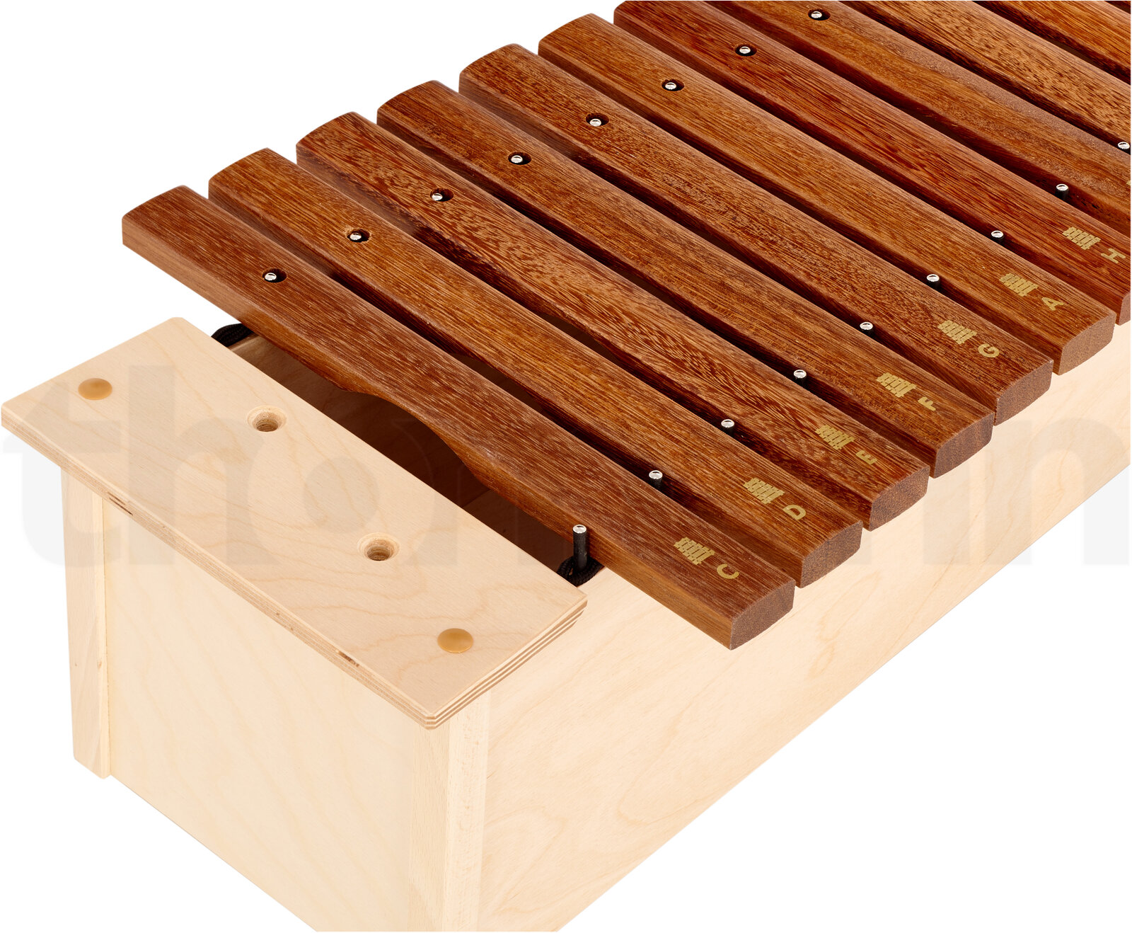 כלי הקשה תזמורתי Goldon Alto Xylophone Model 10210 5 10782695.jpg