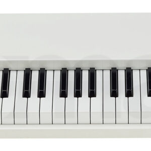 סינתסייזר Manikin-Electronic Memotron M2K