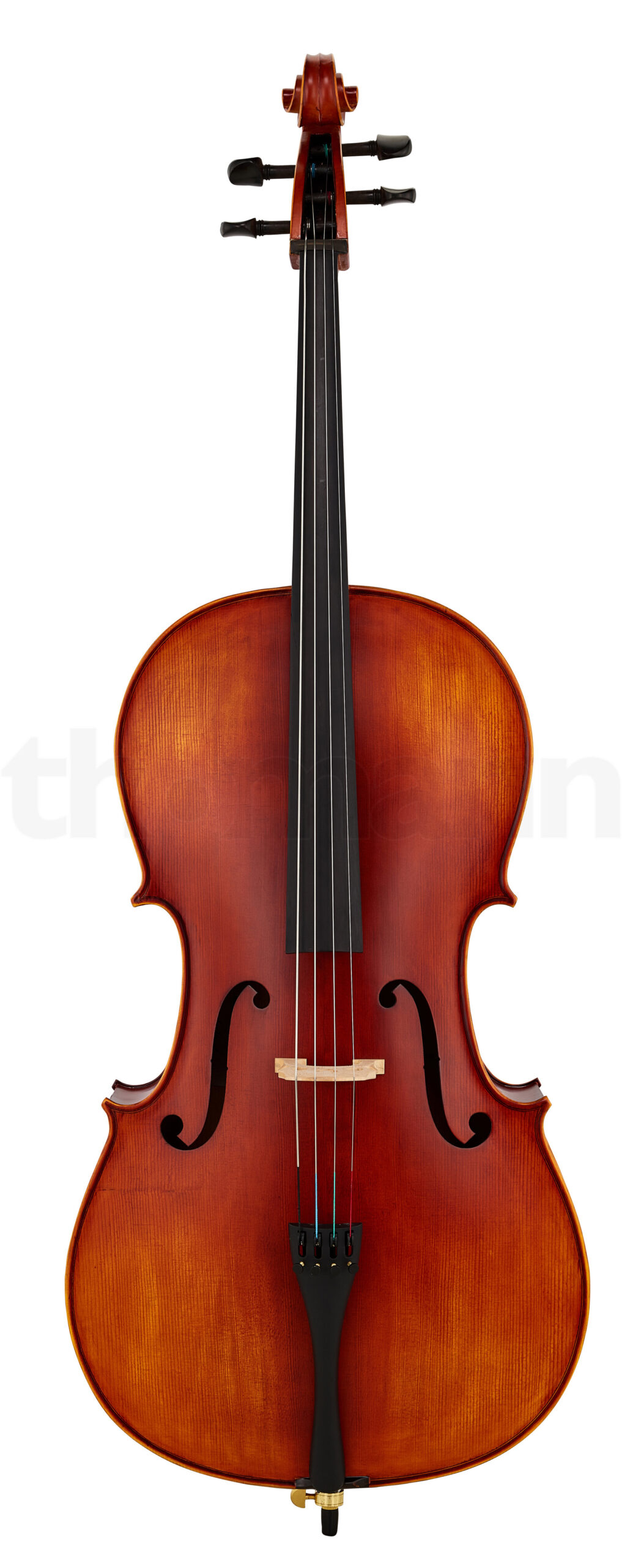 כלי קשת Hidersine Studenti Cello Set 4/4 2 12241722.jpg
