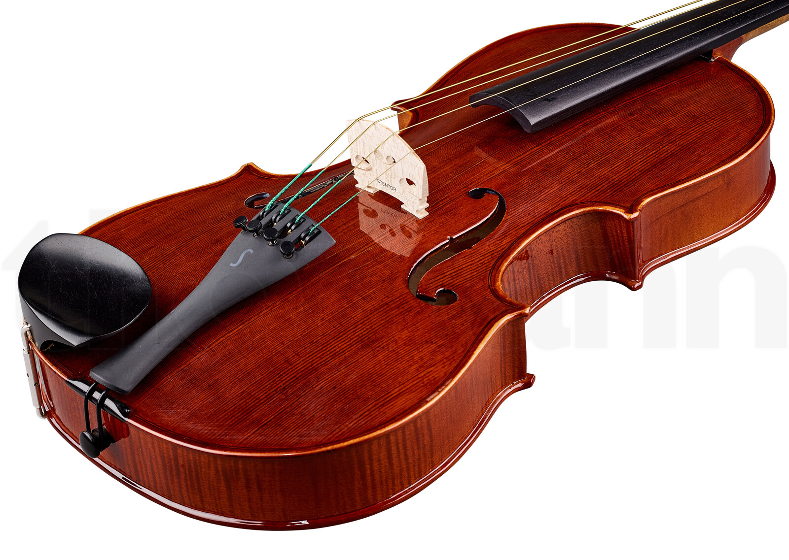 כלי קשת Stentor SR1551 Viola Conservat. 15,5" 3 12264677.jpg