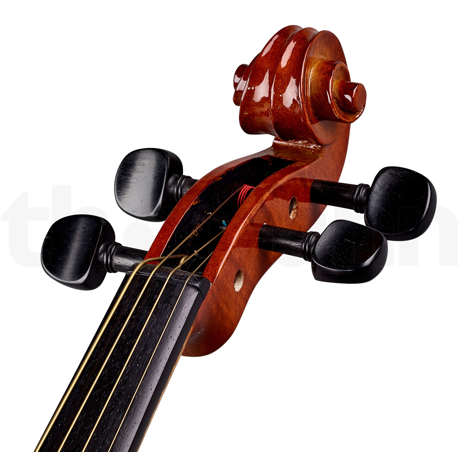 כלי קשת Stentor SR1551 Viola Conservat. 15,5" 5 12264687.jpg