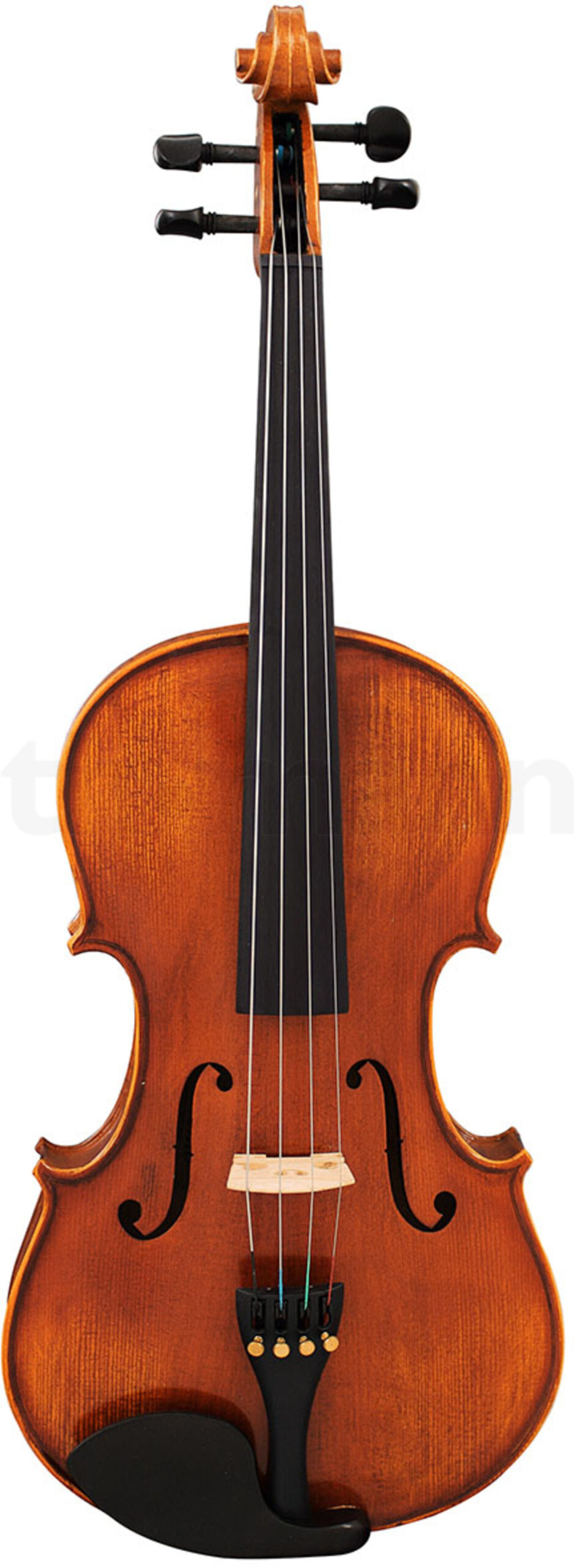 כלי קשת Hidersine Vivente Viola Set 16 1 12291432.jpg