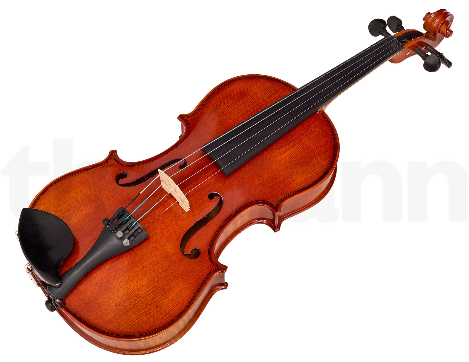 כלי קשת Hidersine Vivente Viola Set 13 3 12331962.jpg
