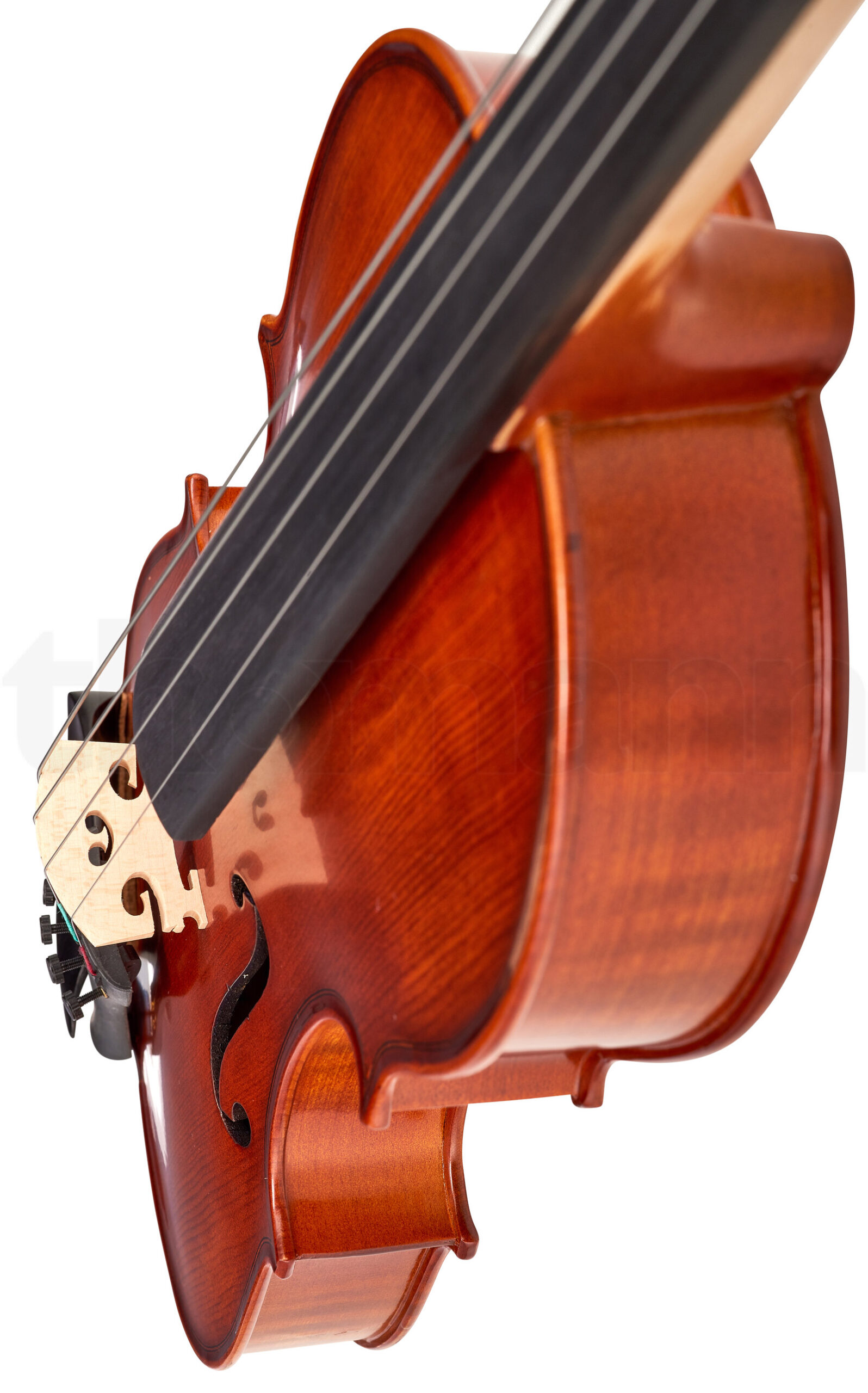 כלי קשת Hidersine Vivente Viola Set 13 5 12331997.jpg