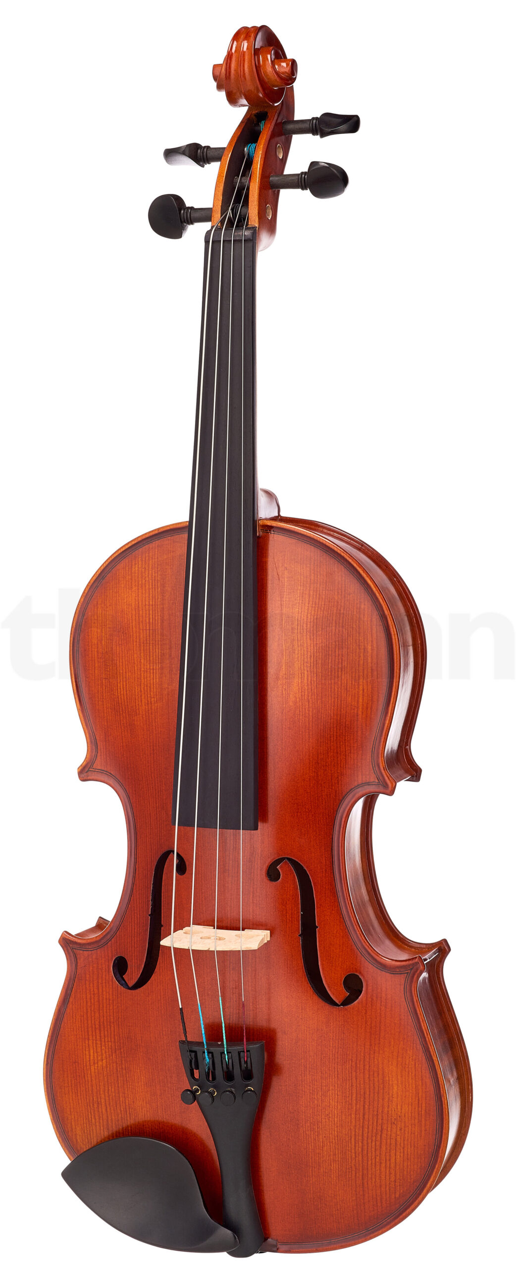 כלי קשת Hidersine Vivente Viola Set 13 1 12332007.jpg