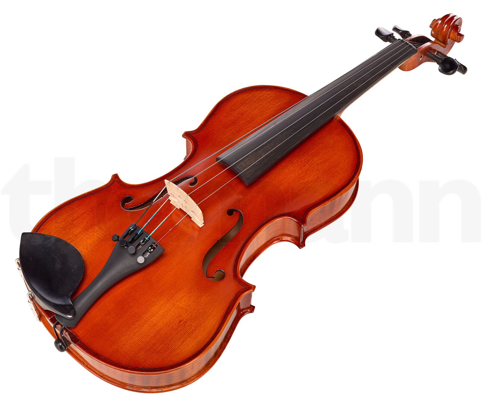 כלי קשת Hidersine Vivente Viola Set 14 3 12332027.jpg