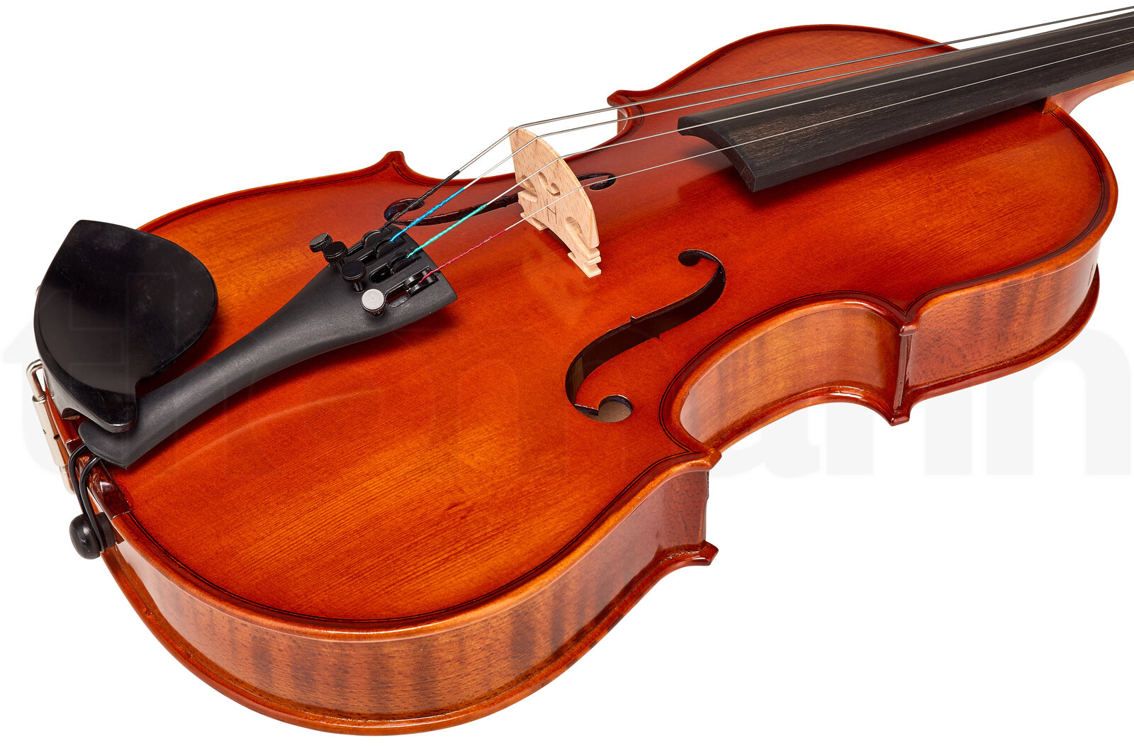 כלי קשת Hidersine Vivente Viola Set 14 4 12332042.jpg