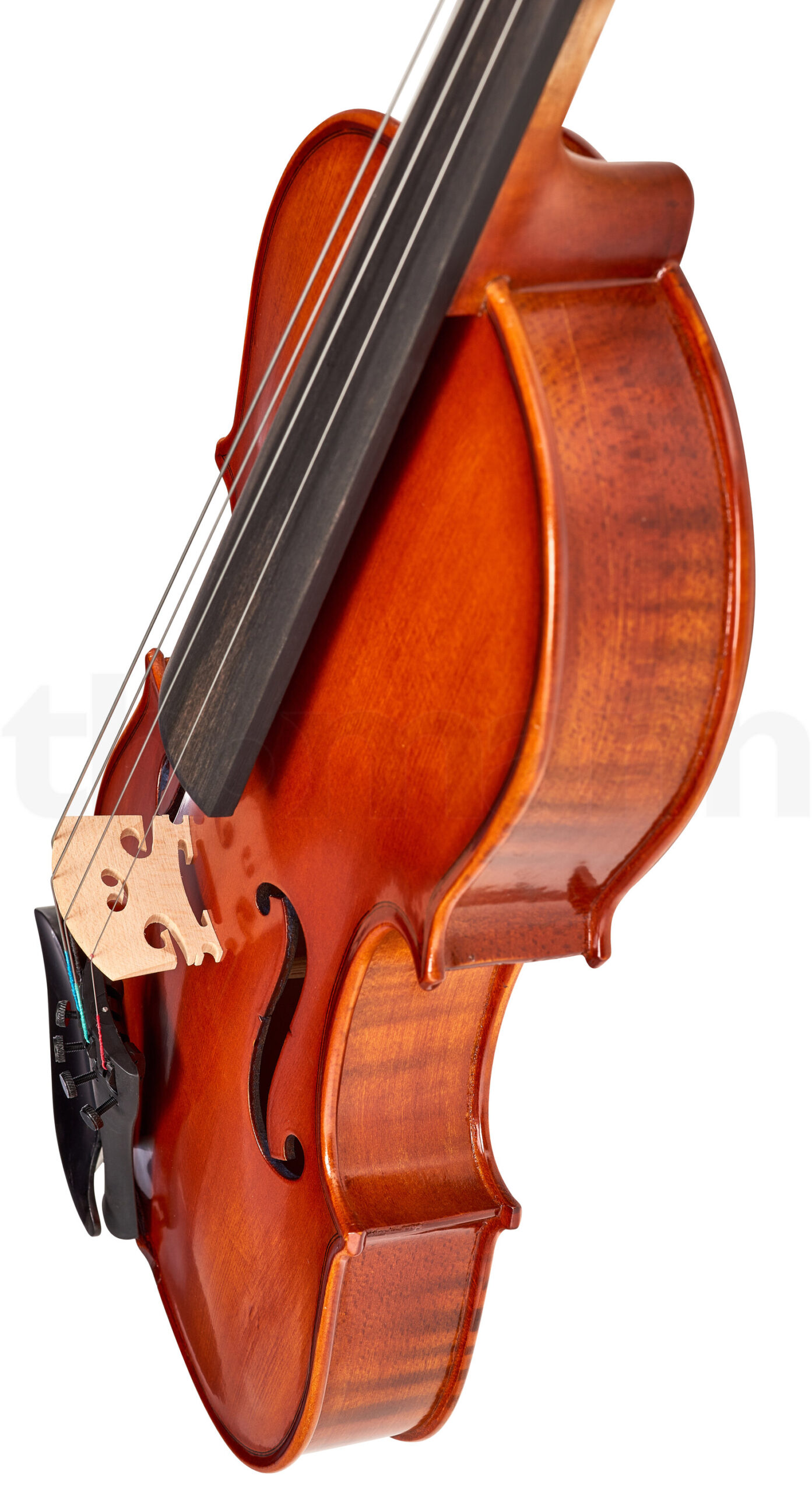 כלי קשת Hidersine Vivente Viola Set 14 5 12332067.jpg