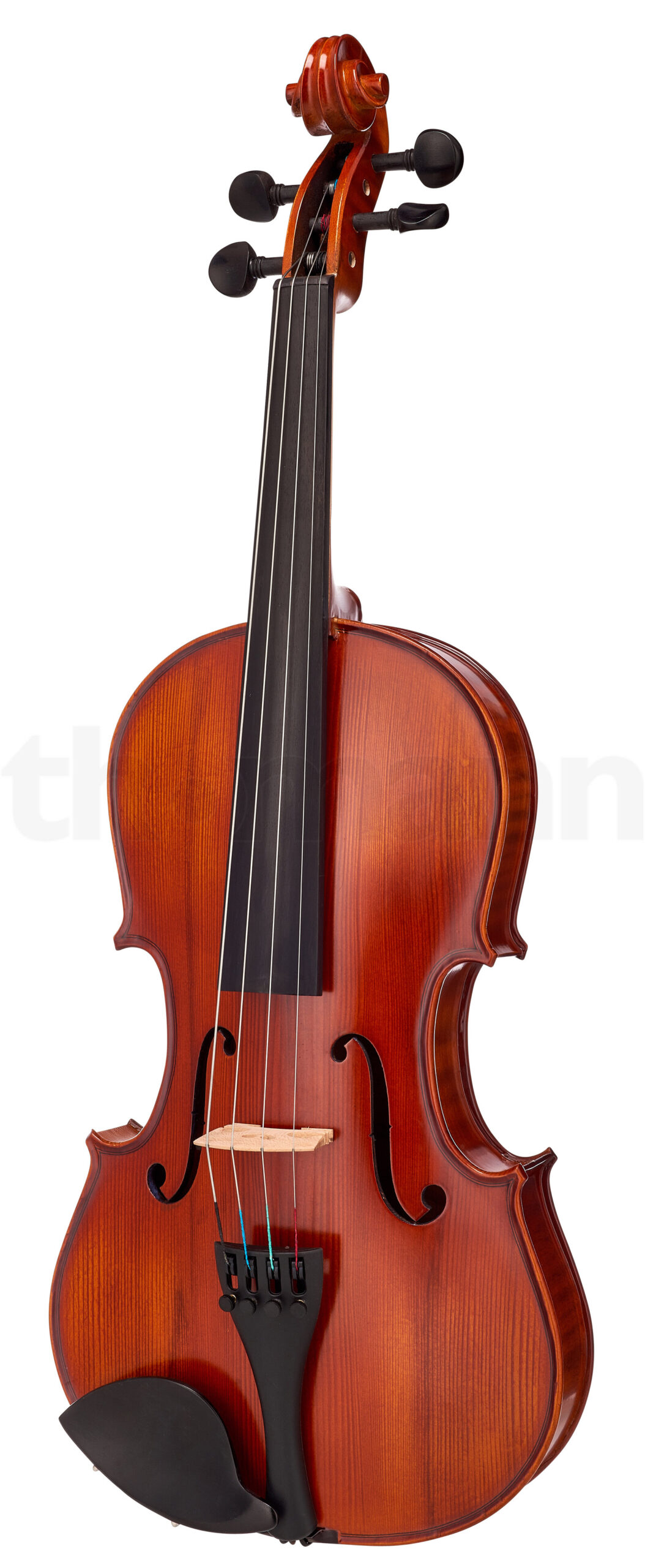 כלי קשת Hidersine Vivente Viola Set 15 1 12332082.jpg