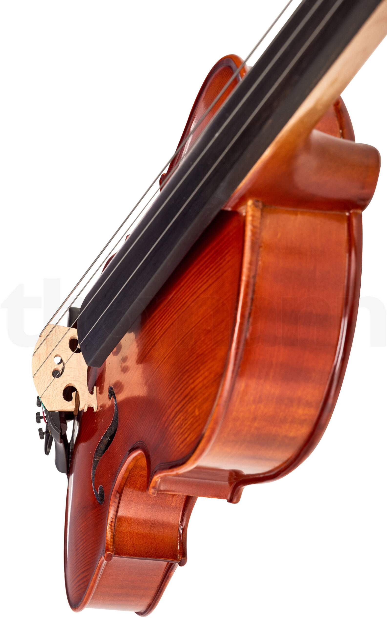 כלי קשת Hidersine Vivente Viola Set 15 5 12332117.jpg