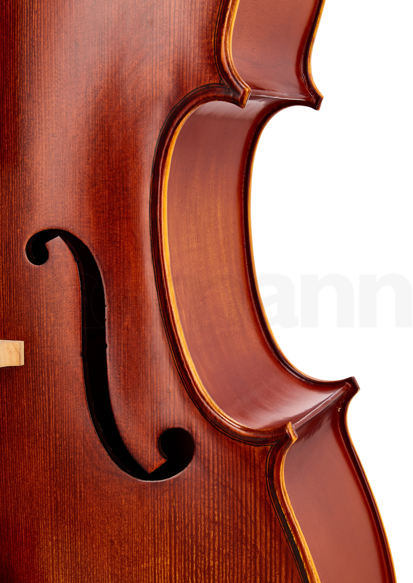 כלי קשת Hidersine Studenti Cello Set 1/2 5 12345457.jpg