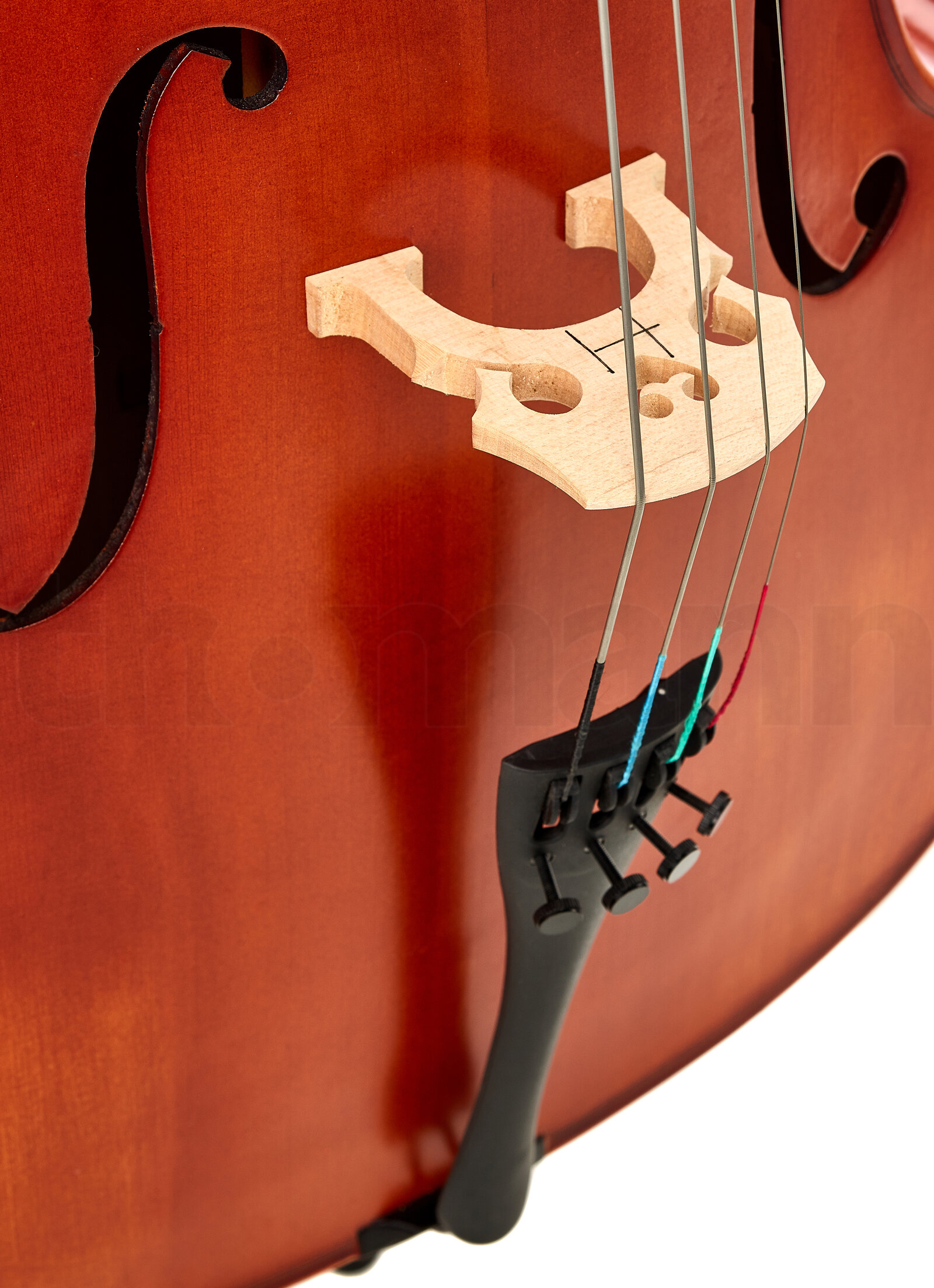 כלי קשת Hidersine Vivente Cello Set 1/2 6 12345822.jpg