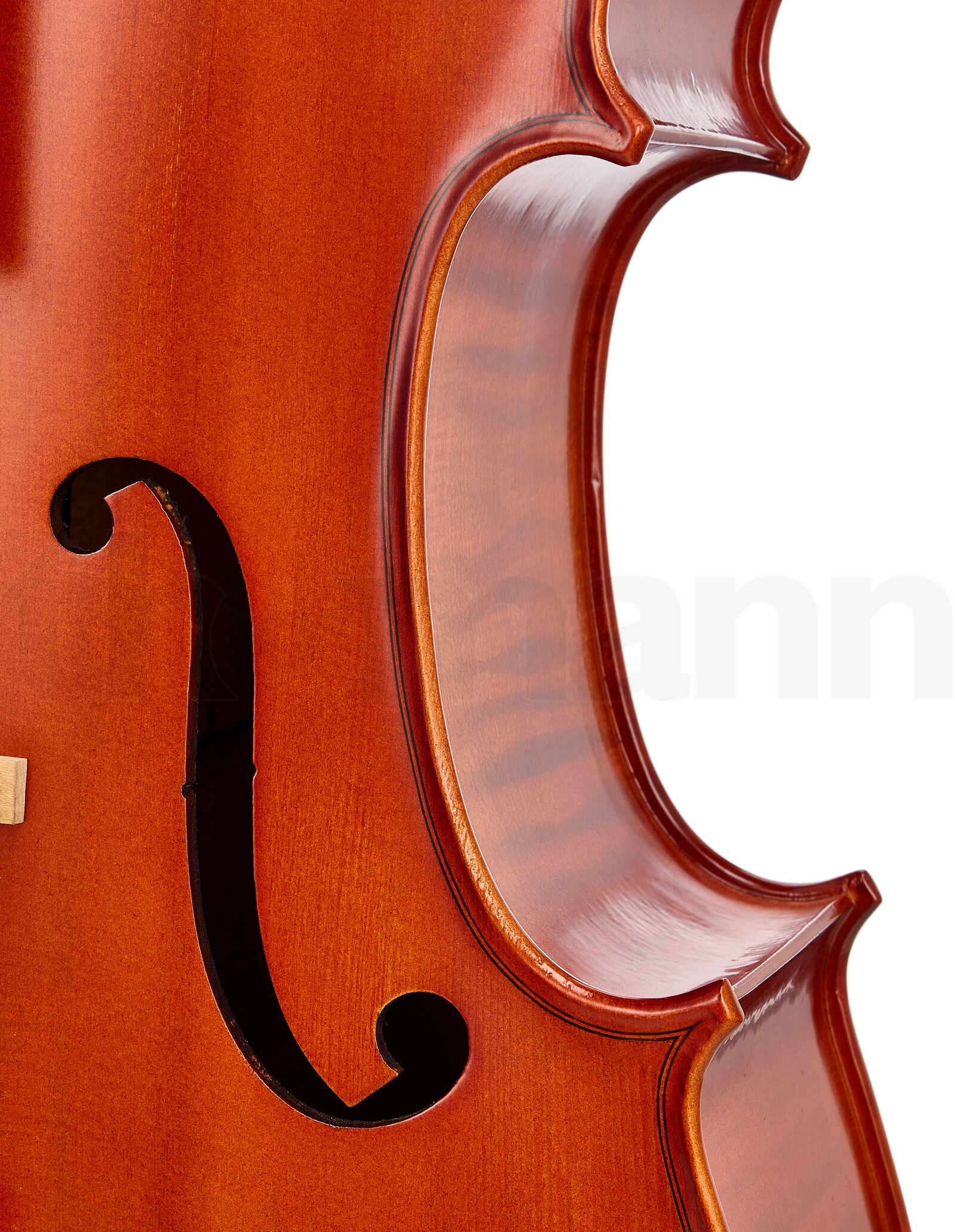כלי קשת Hidersine Vivente Cello Set 1/2 5 12345827.jpg
