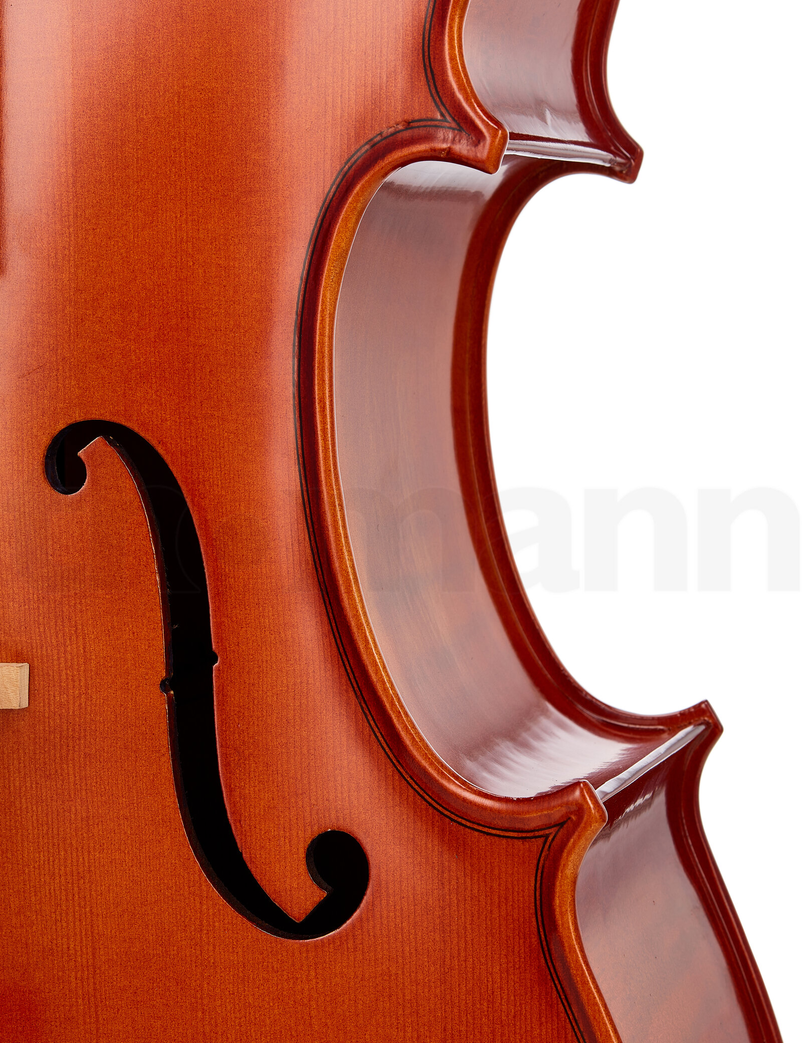 כלי קשת Hidersine Vivente Cello Set 1/4 5 12345937.jpg