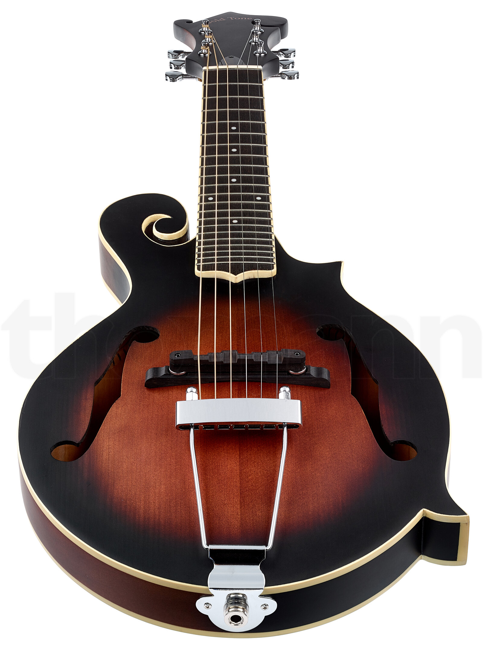 מנדולינה Gold Tone F-6 2 מנדולינה Gold Tone F-6 – תמונה 2