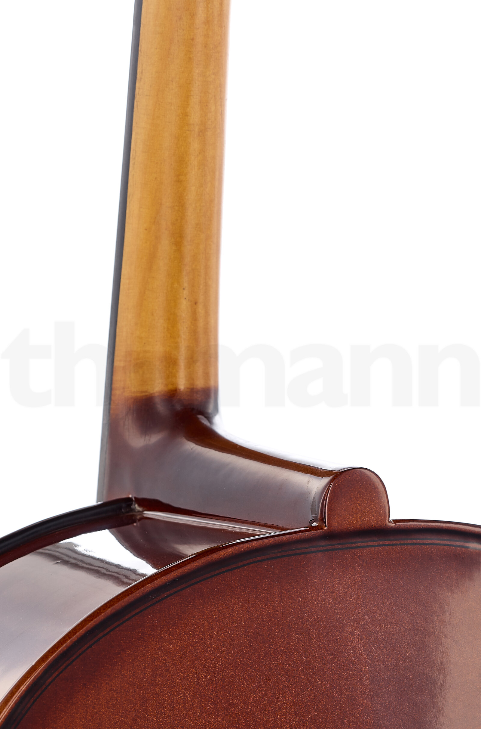 כלי קשת Stentor SR1108 Cello Student II 1/2 6 14746861.jpg