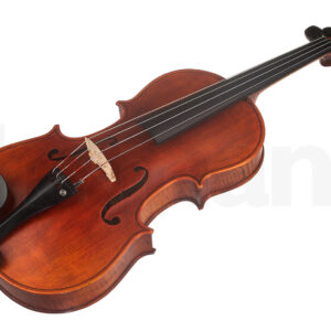 כלי קשת Stentor SR1876 Elysia Viola 15”