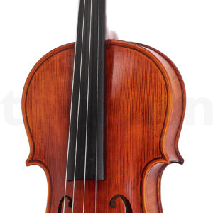 כלי קשת Stentor SR1875 Violin Elysia 4/4