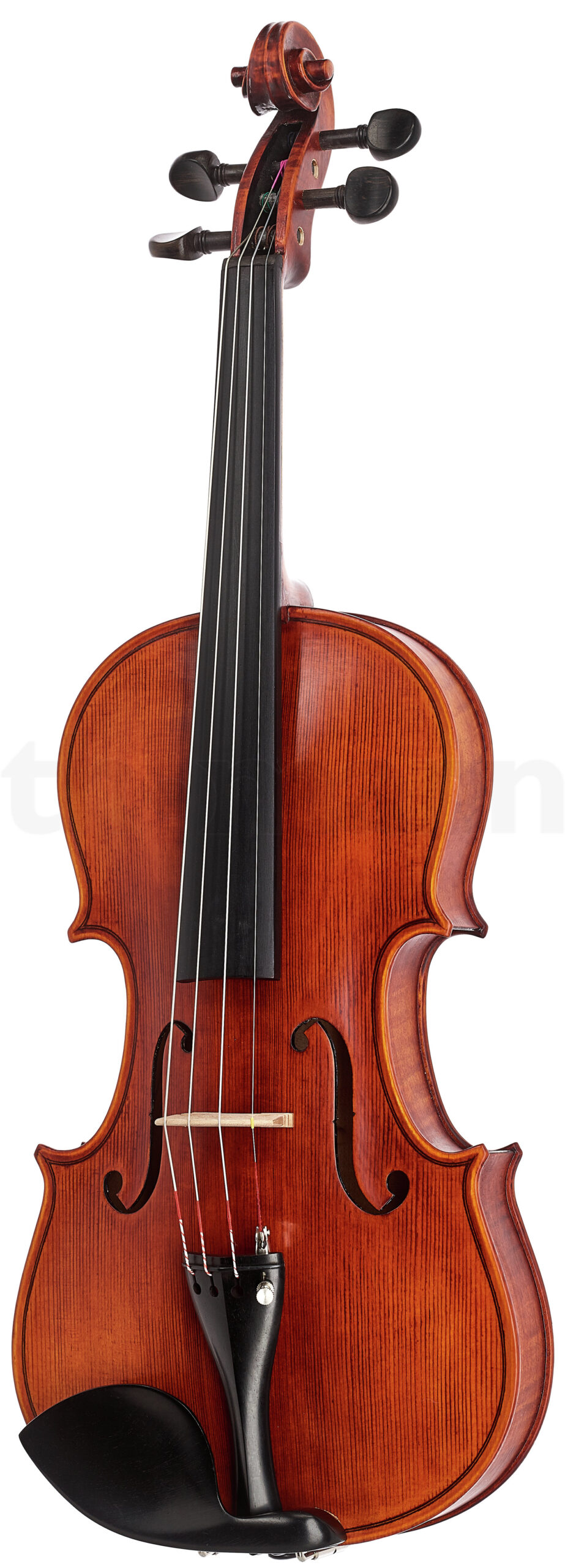 כלי קשת Stentor SR1875 Violin Elysia 4/4 1 14971370.jpg
