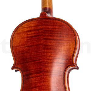 כלי קשת Stentor SR1875 Violin Elysia 4/4