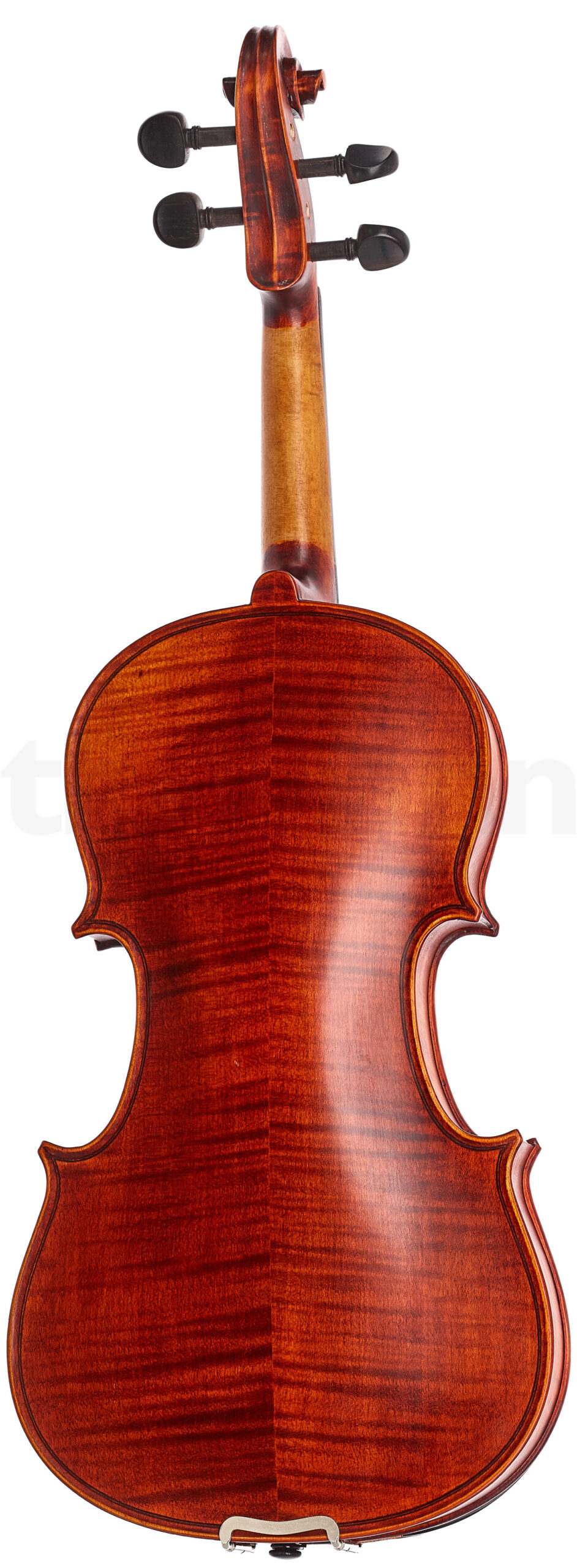 כלי קשת Stentor SR1875 Violin Elysia 4/4 2 14971375.jpg