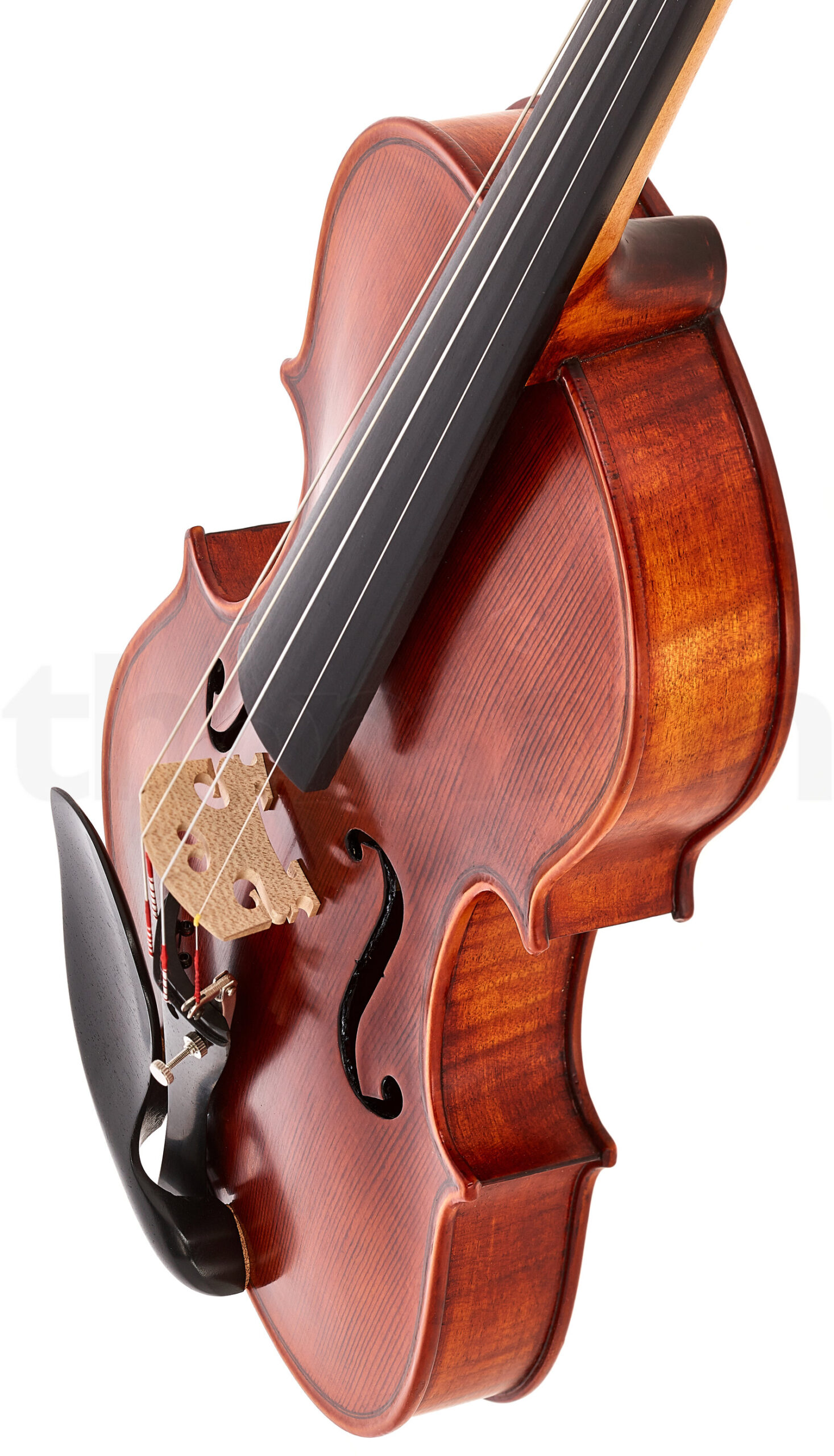 כלי קשת Stentor SR1875 Violin Elysia 4/4 4 14971390.jpg