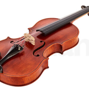 כלי קשת Stentor SR1875 Violin Elysia 4/4