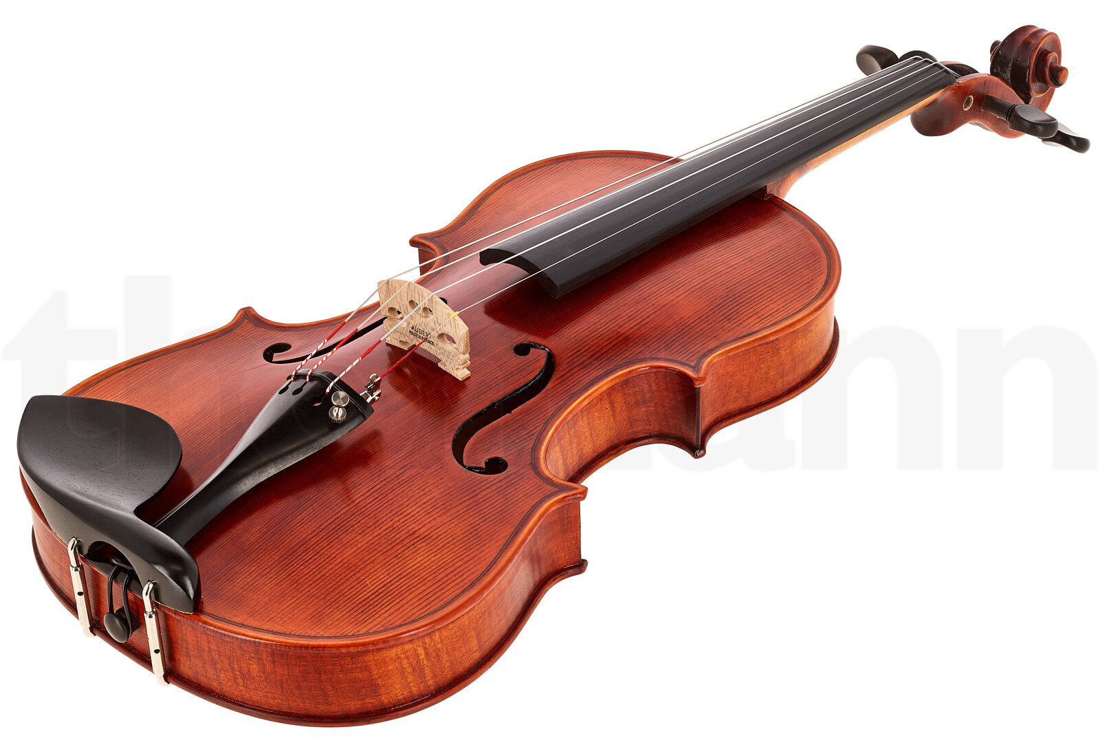כלי קשת Stentor SR1875 Violin Elysia 4/4 3 14971395.jpg