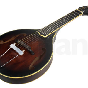 מנדולינה Gold Tone A-6 Mando Guitar TS