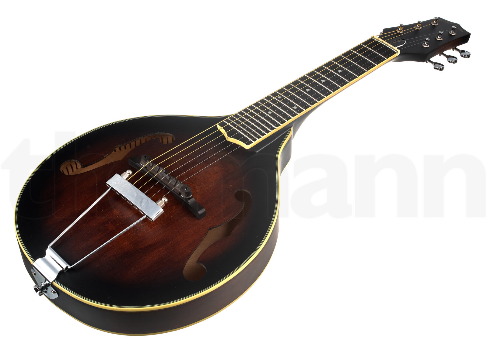 מנדולינה Gold Tone A-6 Mando Guitar TS 2 מנדולינה Gold Tone A-6 Mando Guitar TS – תמונה 2