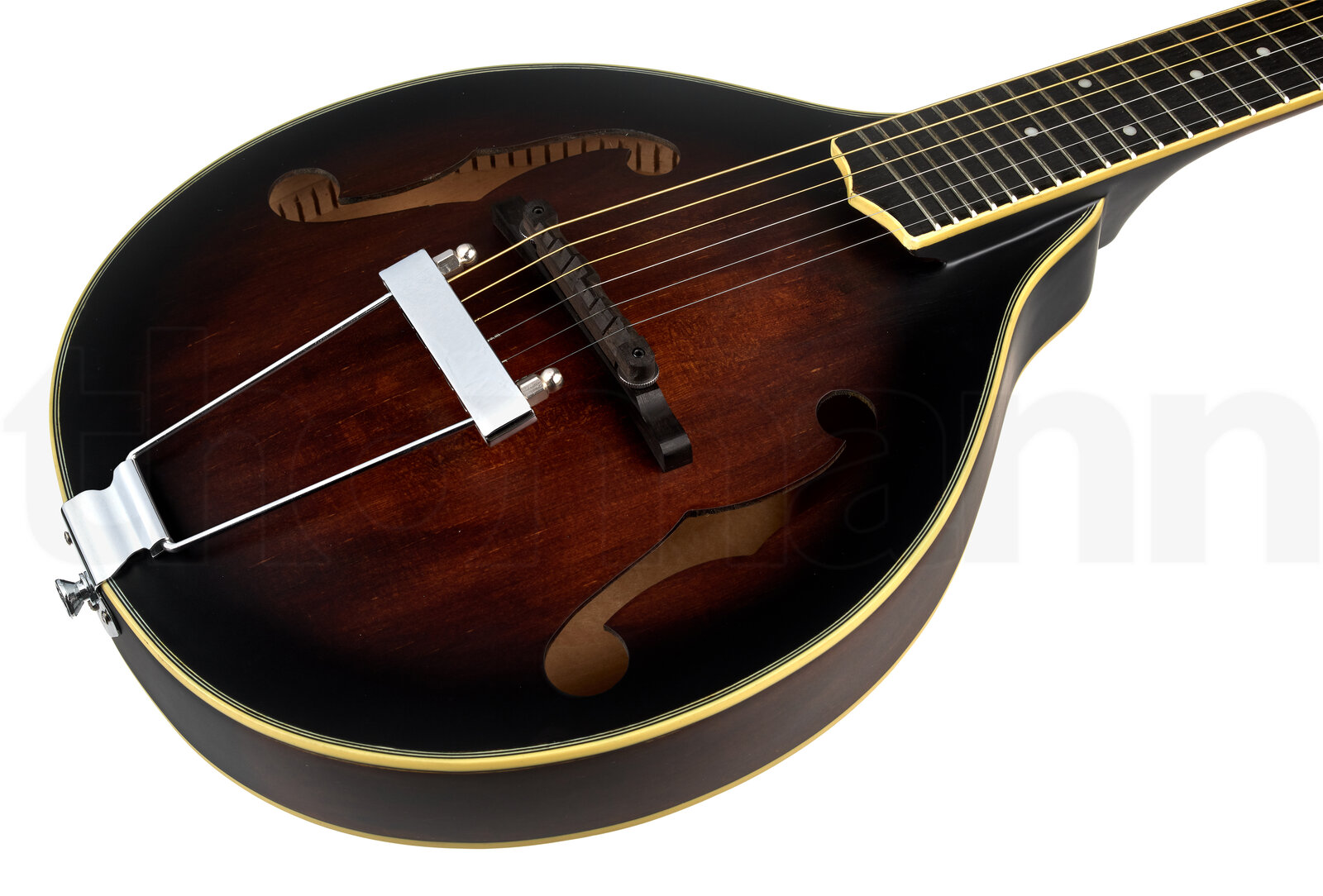 מנדולינה Gold Tone A-6 Mando Guitar TS 3 מנדולינה Gold Tone A-6 Mando Guitar TS – תמונה 3