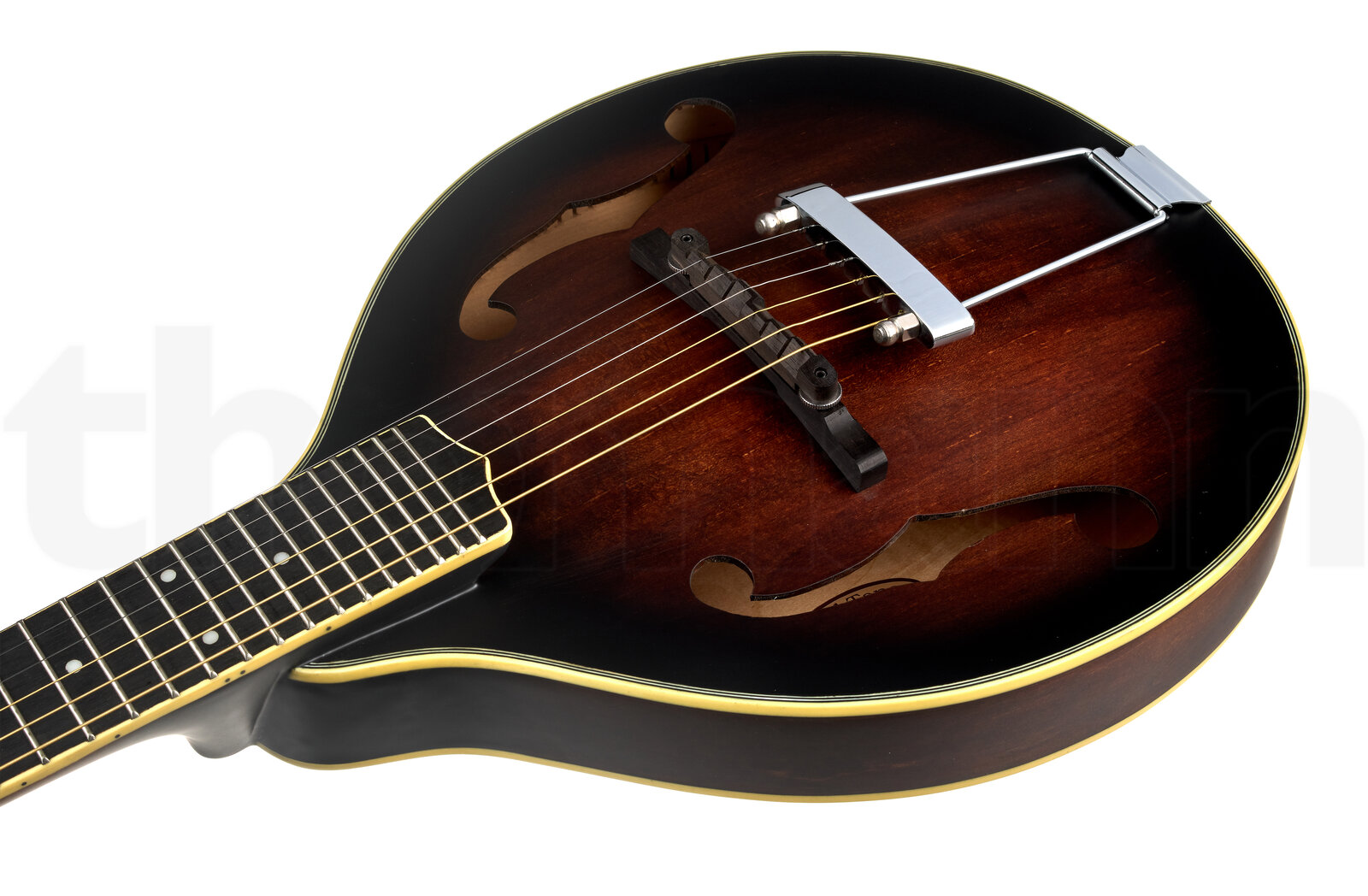 מנדולינה Gold Tone A-6 Mando Guitar TS 4 מנדולינה Gold Tone A-6 Mando Guitar TS – תמונה 4