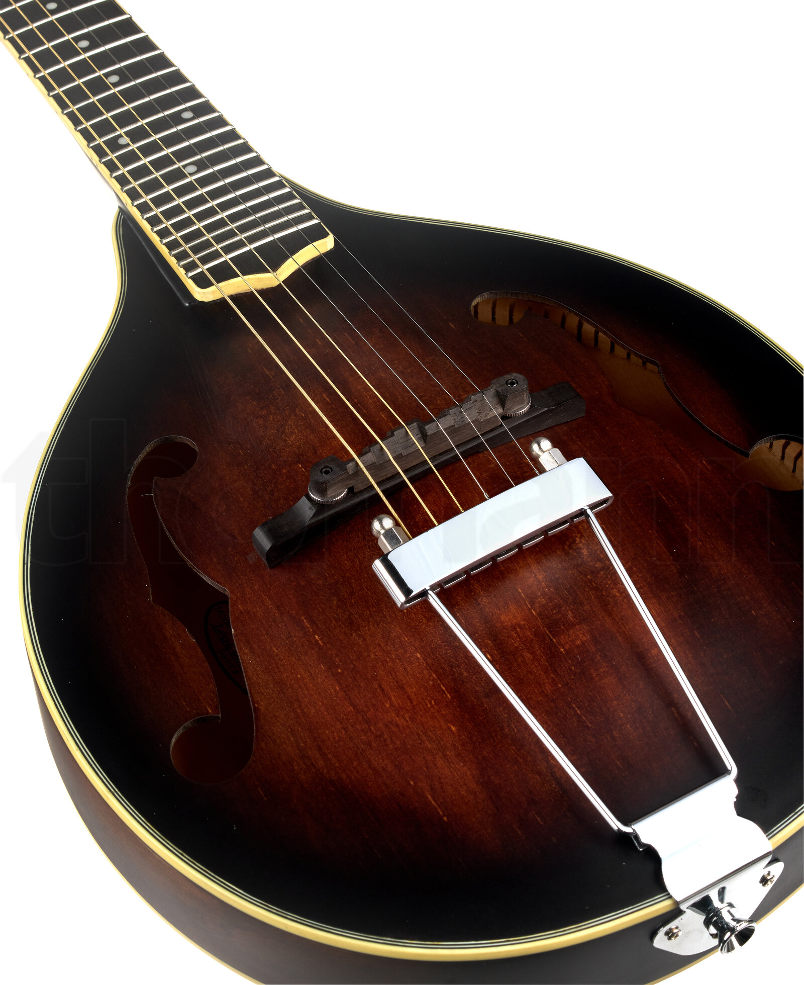 מנדולינה Gold Tone A-6 Mando Guitar TS 5 מנדולינה Gold Tone A-6 Mando Guitar TS – תמונה 5