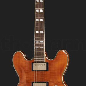 גיטרה חשמלית Stanford CR Thinline 35 VB