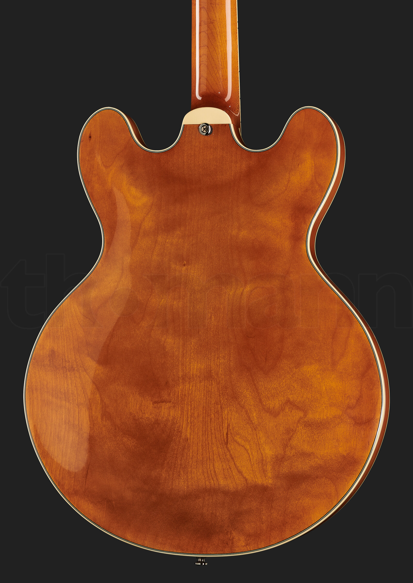 גיטרה חשמלית Stanford CR Thinline 35 VB 4 15516370.jpg