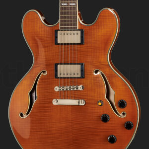 גיטרה חשמלית Stanford CR Thinline 35 VB