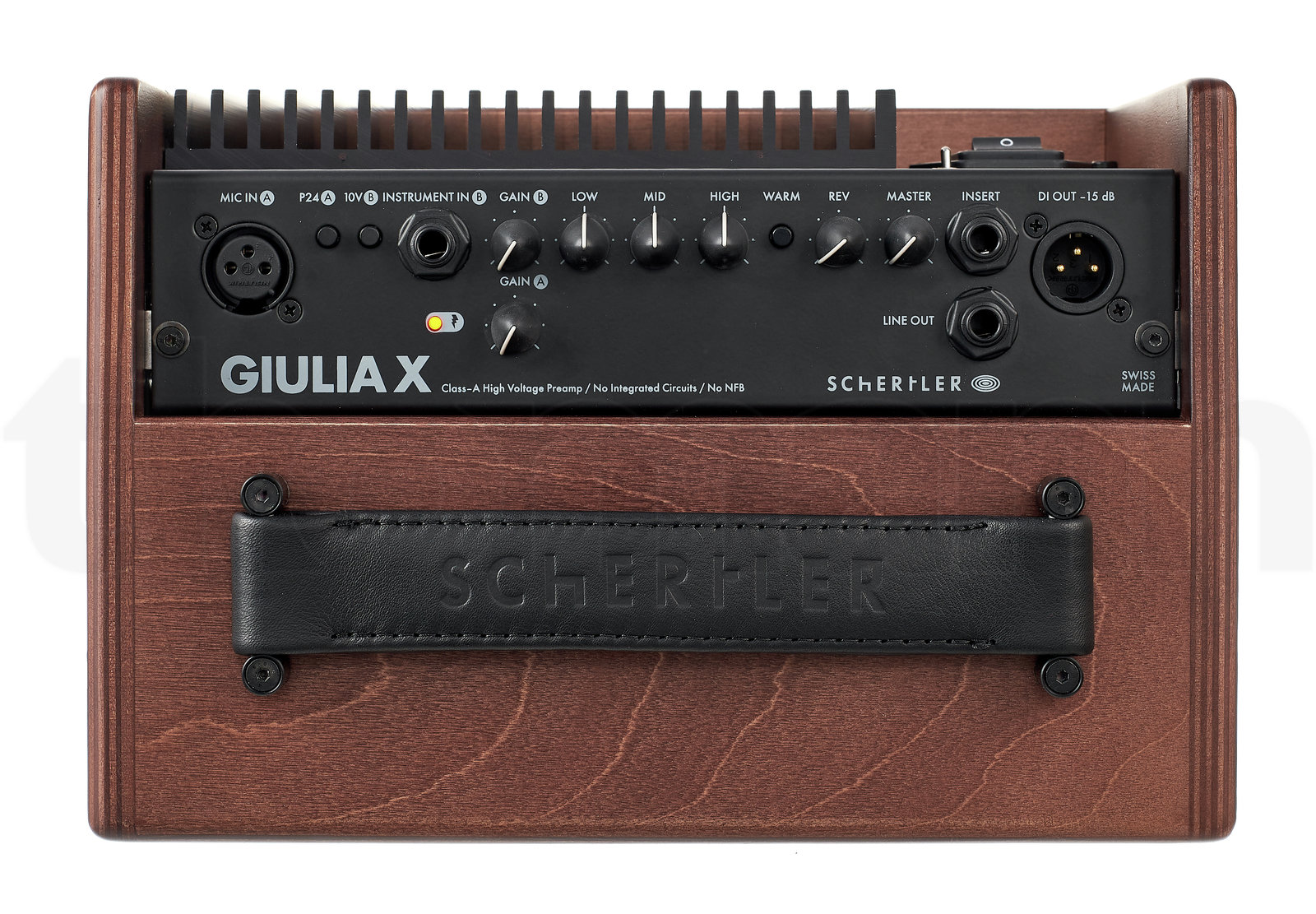 מגבר Schertler Giulia X Wood 5 15796980.jpg