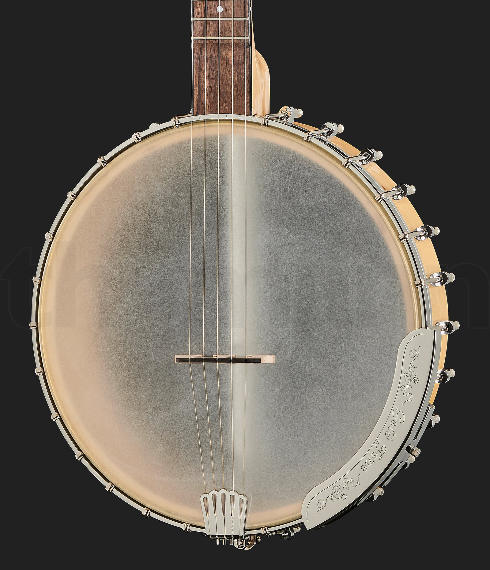 בנג׳ו Gold Tone CC-Carlin 12 LH 5-string Banjo 3 16063118.jpg