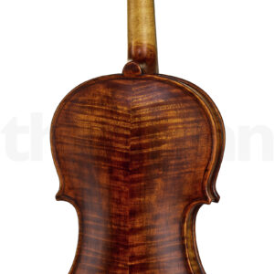 כלי קשת Stentor SR1864 Verona Violin 4/4
