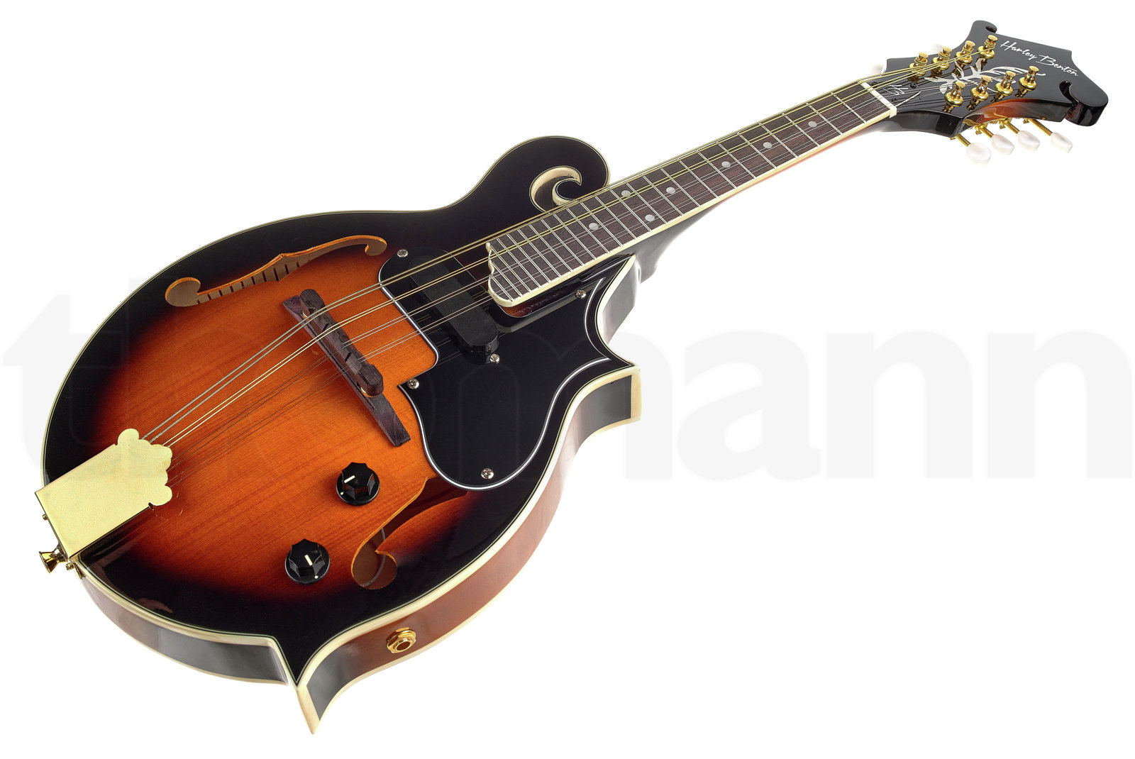 נרתיק Hamaril Mandolin Set 2 נרתיק Hamaril Mandolin Set – תמונה 2