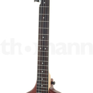 בנג׳ו Gold Tone EB-5 Electric 5 string Banjo