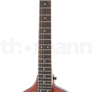 בנג׳ו Gold Tone EB-6 E-Banjo w/Bag