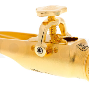 פיה Theo Wanne Durga V Alto 8 Gold