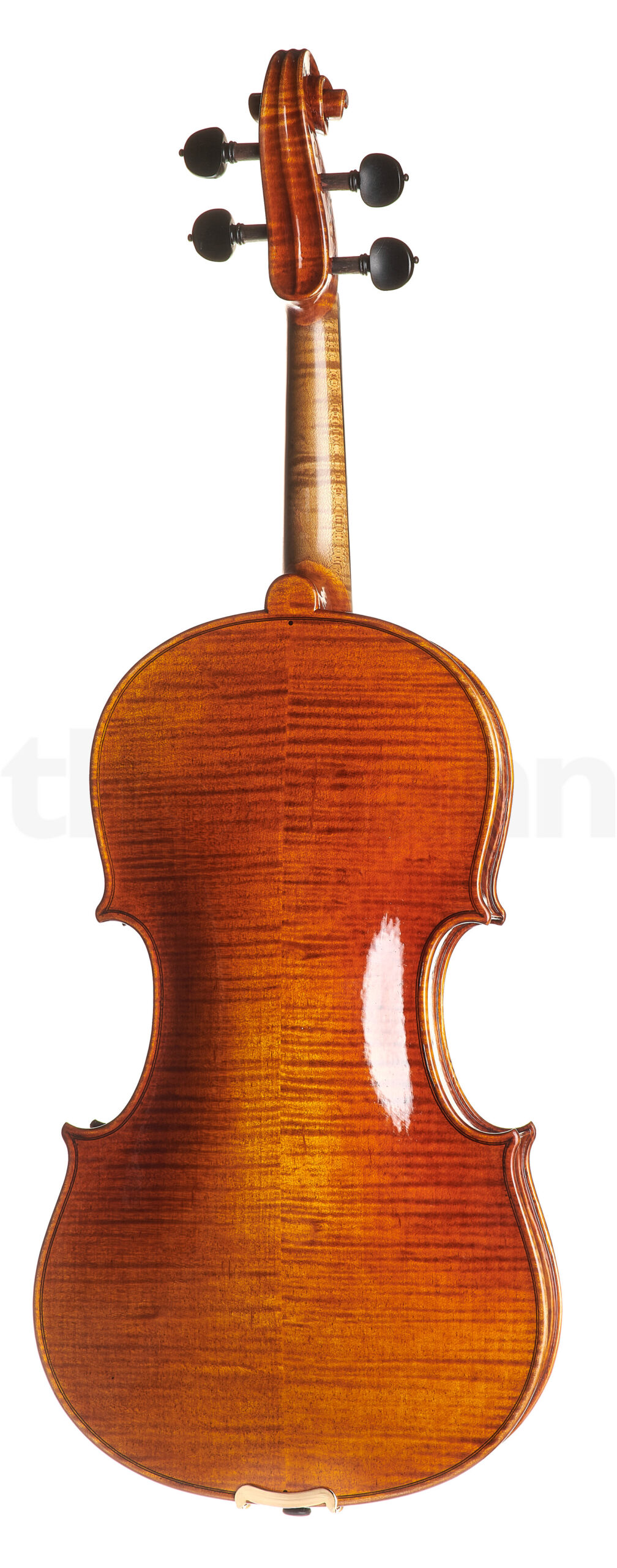 כלי קשת Scala Vilagio Bohemia Concert Viola 15,5" 2 17527215.jpg