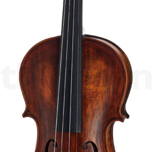 כלי קשת Stentor SR1884 Violin Arcadia Antik