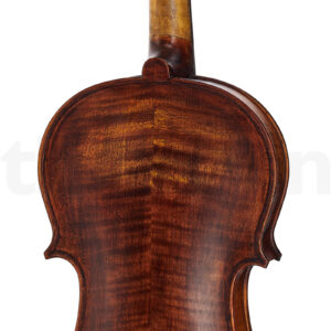 כלי קשת Stentor SR1884 Violin Arcadia Antik